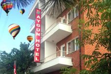 其他 Aygun Hotel