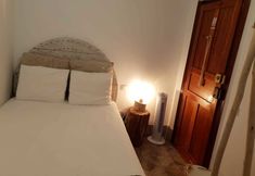 Others 5 Cactus Host