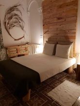 Others 4 Cactus Host