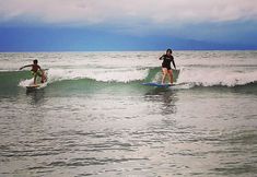 อื่นๆ 6 A.S.J. Backpackers Baler