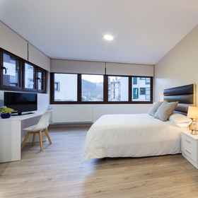 Primary image1Petit Hotel Goierri,Zumarraga飯店