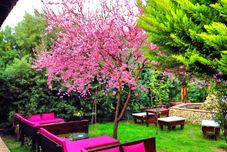 Lainnya Faciba Butik Otel Restaurant Cafe & Bar