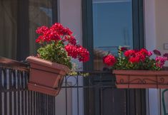 其他 4 Heliotrope The Studios