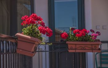 其他 4 Heliotrope The Studios