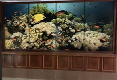 其他 7 ODRYS BEACH HOTEL & RESORT