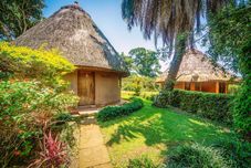 Others Banana Village