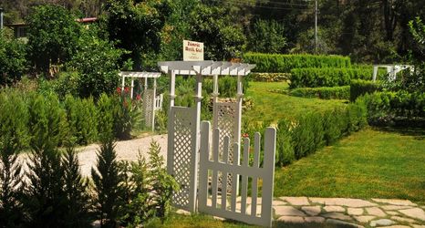 其他 2 Zumrut Cirali Butik Otel