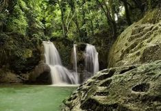 Others 4 Travillehuts Palm Beach Inn