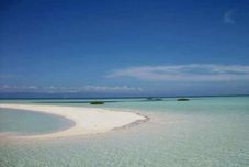 其他 Travillehuts Palm Beach Inn