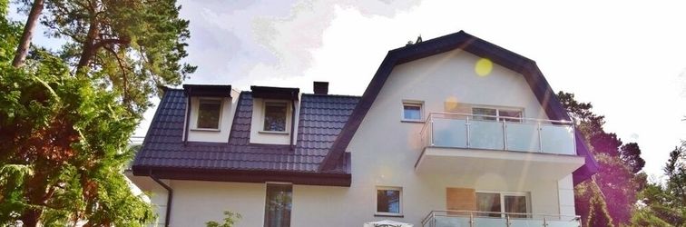 其他 Dom Goscinny Matex