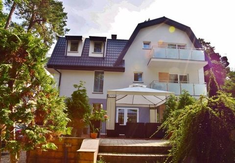 其他 Dom Goscinny Matex