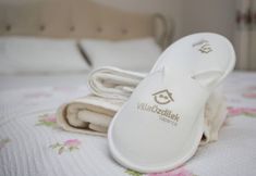 其他 4 Villa Ozdilek