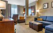 Lainnya 7 Comfort Inn & Suites Boise Airport