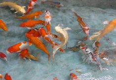 Others 6 Guoguang B&B