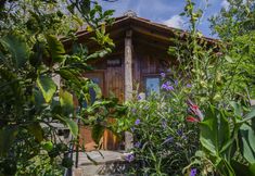 其他 3 Agora Pansiyon