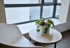 Others 7 Cozi Cottage