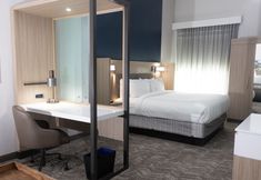 其他 2 SpringHill Suites by Marriott Dallas McKinney/Allen