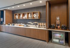 其他 4 SpringHill Suites by Marriott Dallas McKinney/Allen