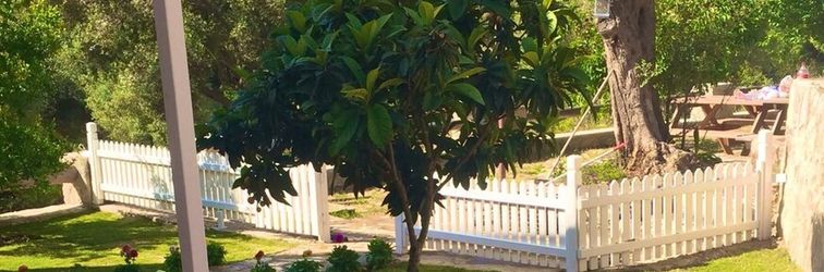 其他 Artolive Datca