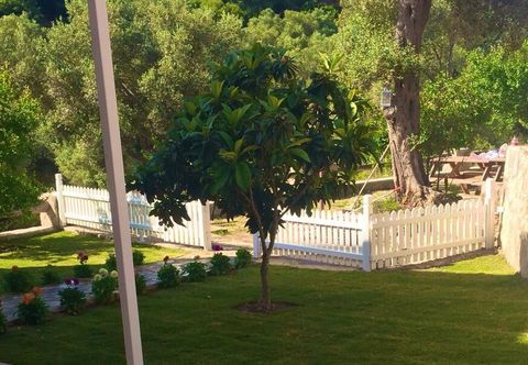 其他 Artolive Datca