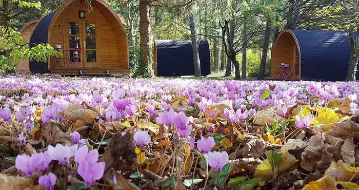 Others Les Cabanes des Chateaux