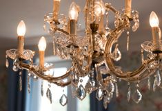 Others 7 Les Magnolias