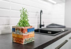 その他 6 Enklawa Mikołajki