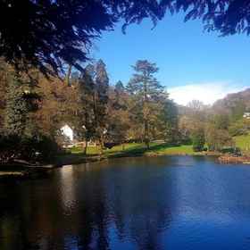 Primary image1羅瑟斯卡多克莊園 - 湖景別墅飯店,Deviock飯店