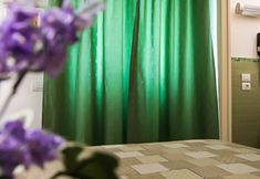 其他 6 Il Giglio Verde