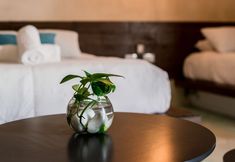 Others 2 Hotel Boutique Grandiosa