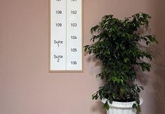 其他 2 Mimoza Hotel