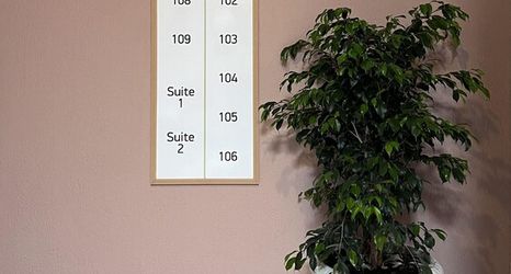 其他 2 Mimoza Hotel