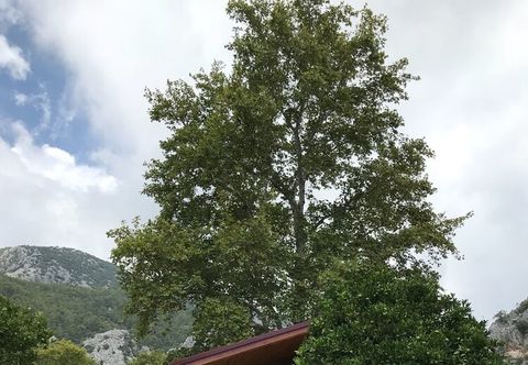 Others Asya Bungalow