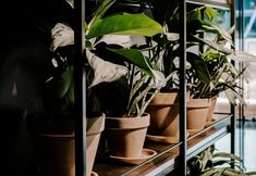 その他 5 Vienna House by Wyndham Mokotow Warsaw