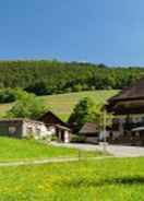 Primary image Landgasthaus Grüner Baum