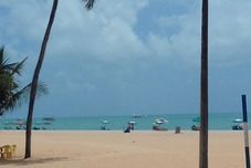 その他 Flat Frapp Home Service