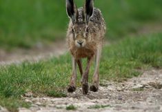 Others 6 Hook Farm Cottages