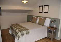 その他 5 Higher Buck