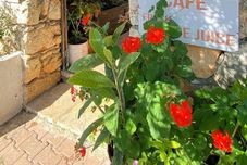 其他 Likya Pansiyon