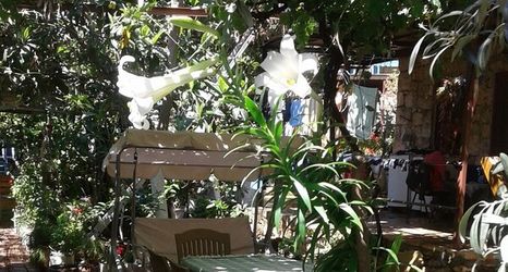 其他 2 Likya Pansiyon