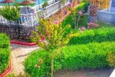 其他 Altinkum Tatil Koyu