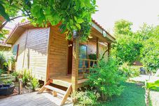 기타 Gunes Pansiyon