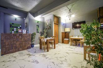 其他 4 The Green Goose Hotel