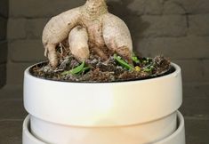 其他 7 Origami Porto Residência