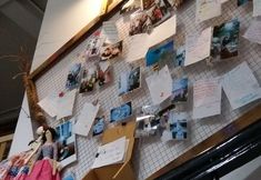 Others 7 Little Home Hostel Nha Trang