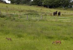 その他 4 The Old Malt House Hotel