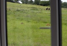 기타 6 The Old Malt House Hotel