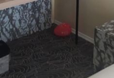 其他 5 Carmen Suite Tuyap