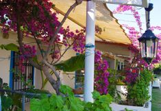 Others 6 Poyraz Apart Motel