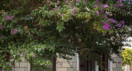 อื่นๆ 2 Casa Caria Boutique Hotel